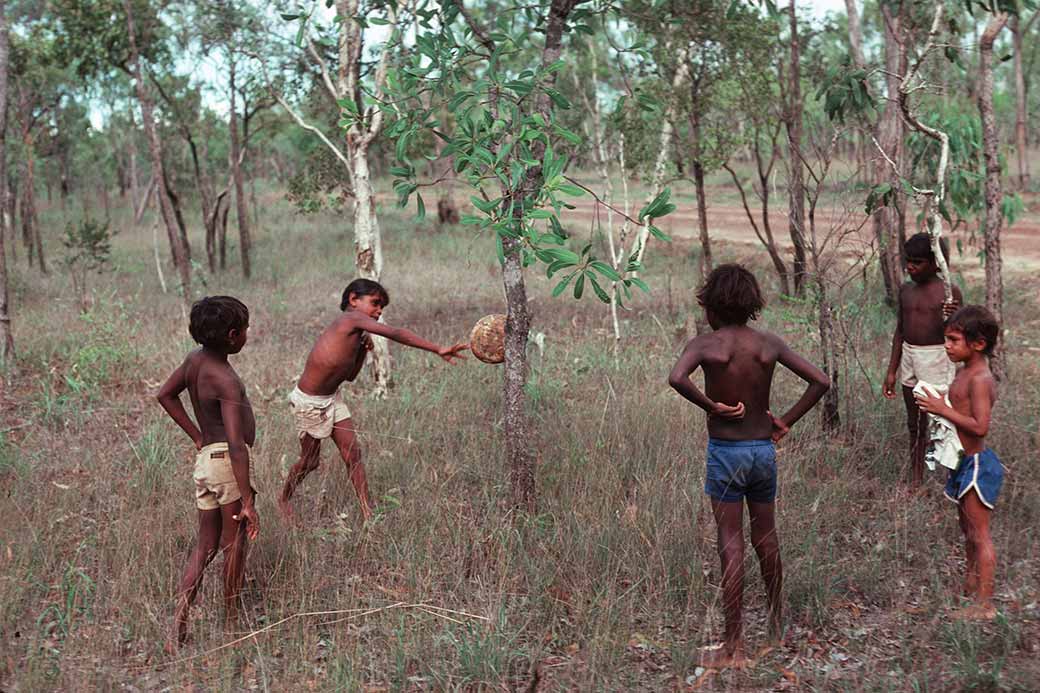 Getting bushberries