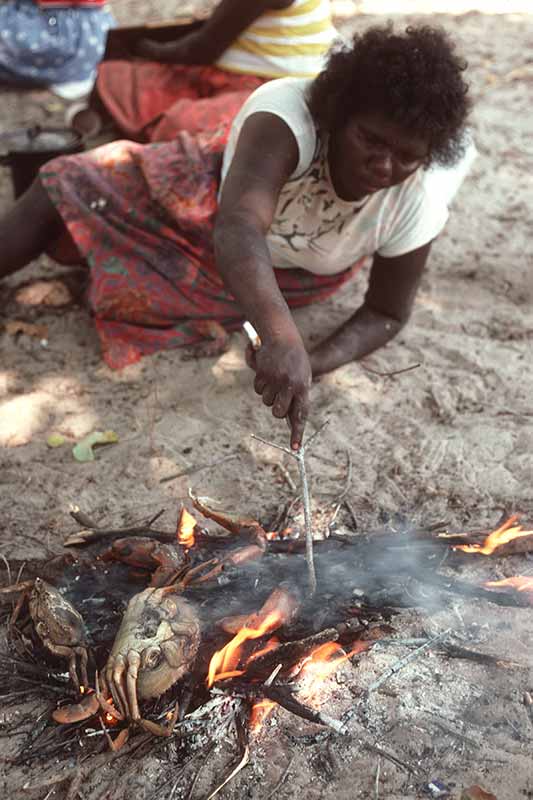 Cooking crabs