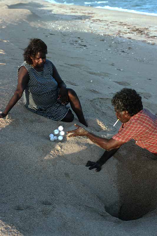 Getting turtle eggs