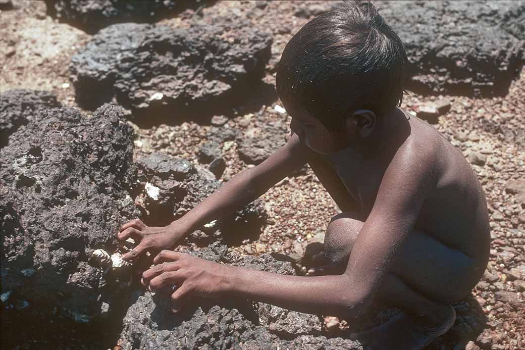 Collecting oysters