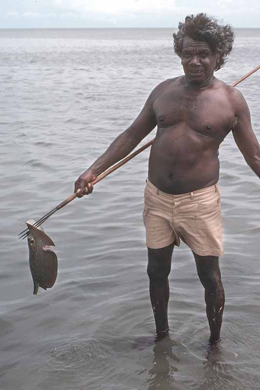 Caught stingray