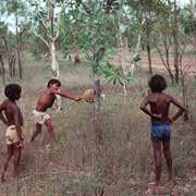 Getting bushberries