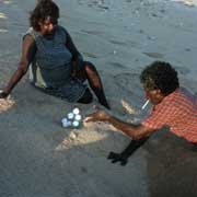 Getting turtle eggs