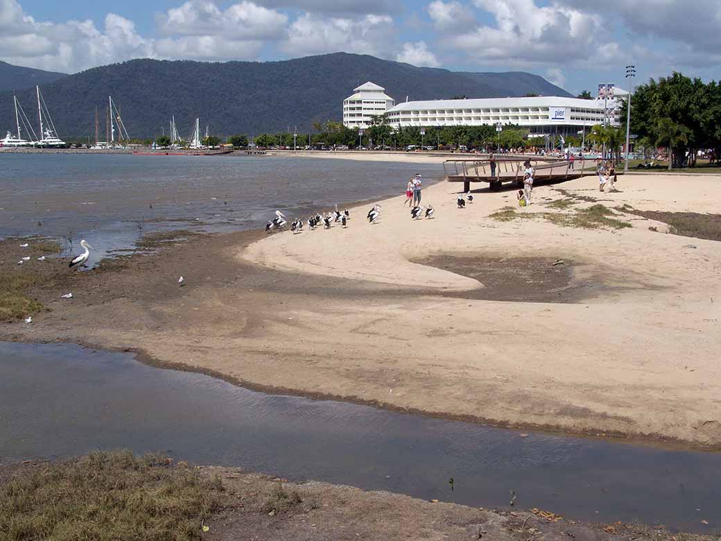 View to The Pier