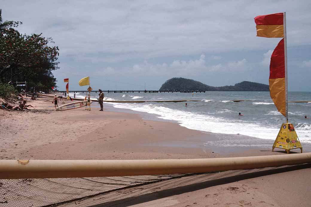 Stinger net, Palm Cove