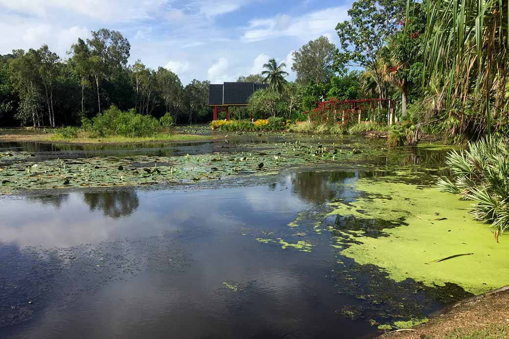 Freshwater Lake, Cairns