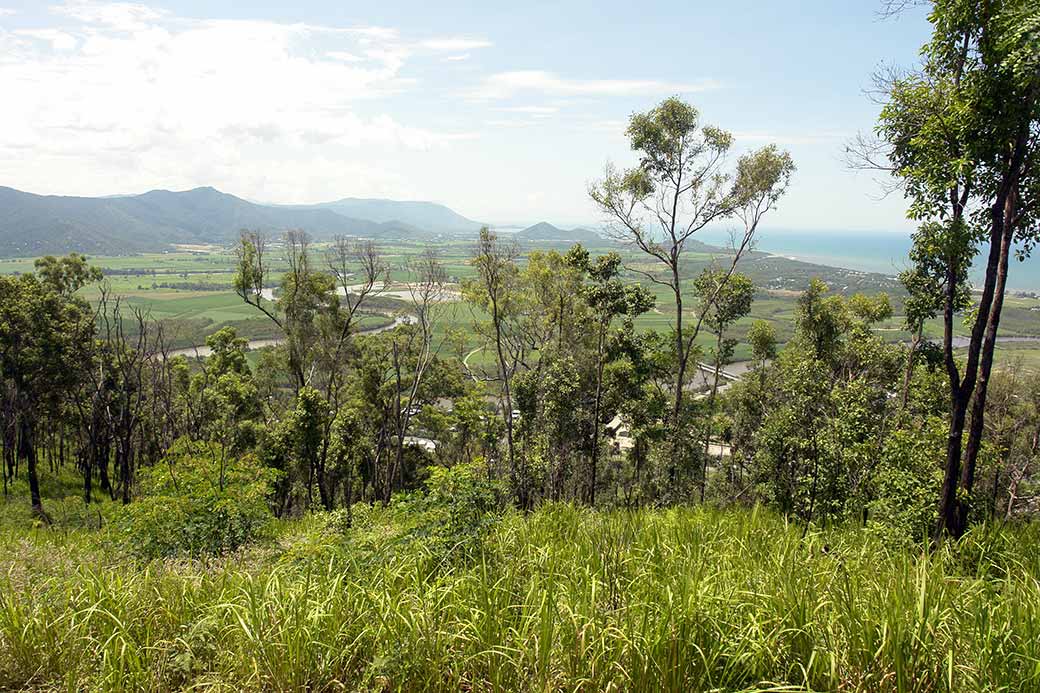 Mount Lumley Hill