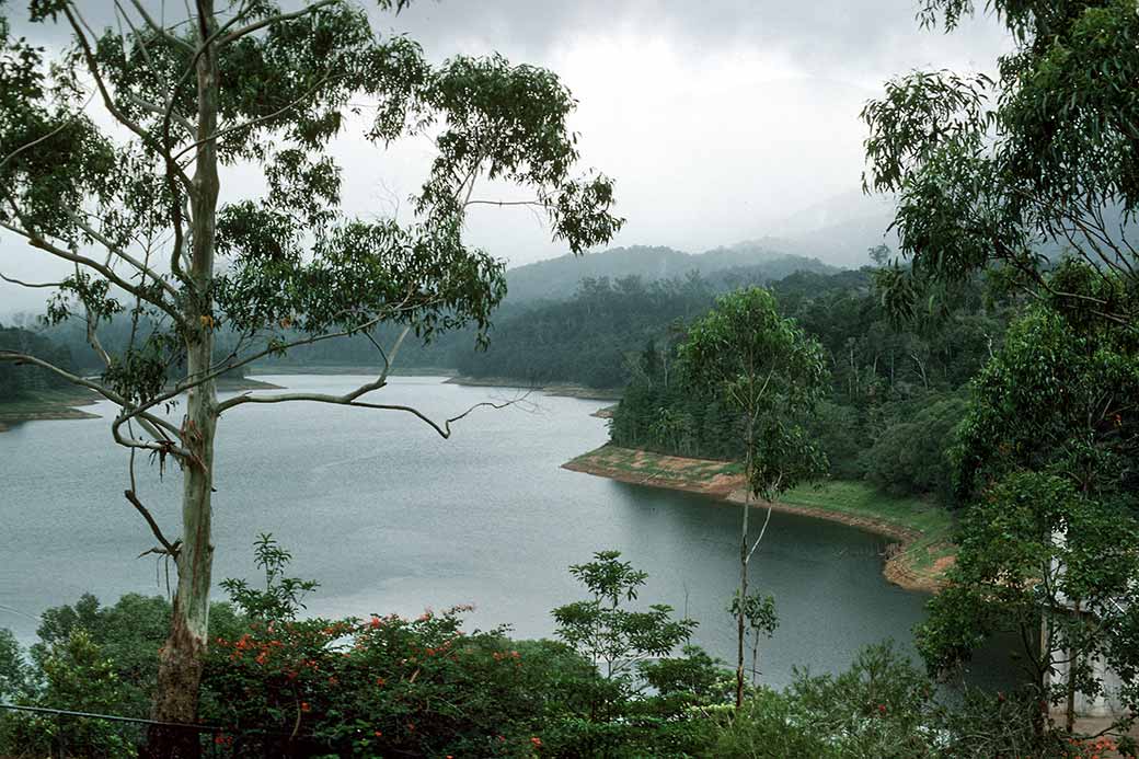 Lake Morris view