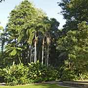 Botanic Gardens