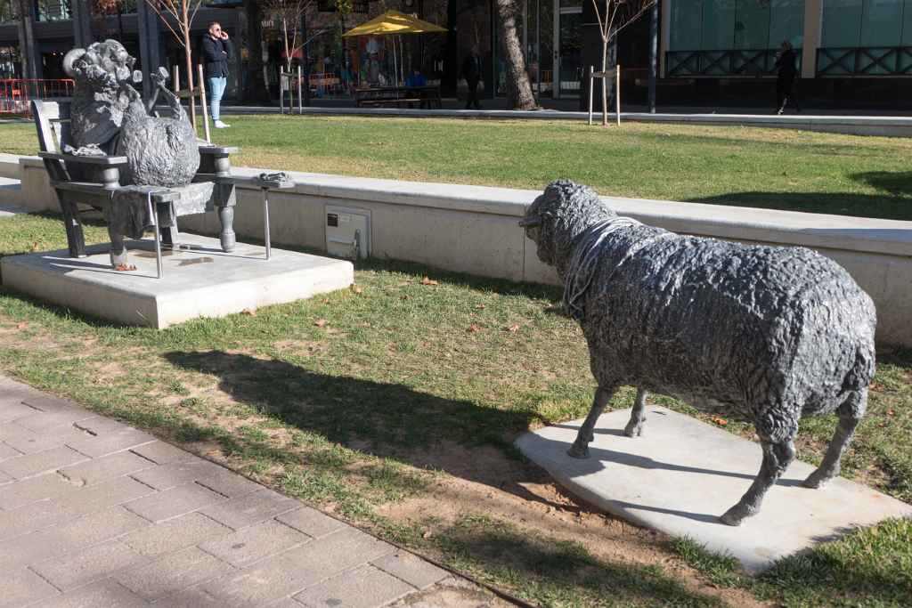 Sheep sculptures