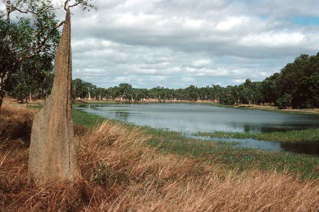 Lakefield National Park