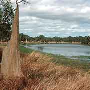 Lakefield National Park