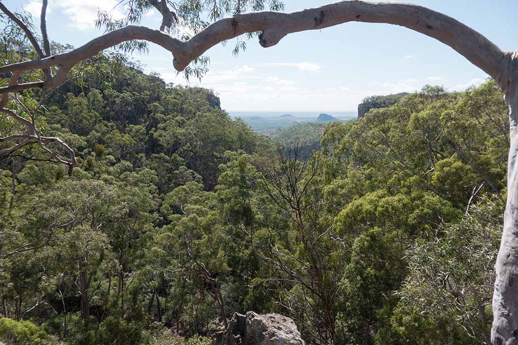 View of Fred's Gorge