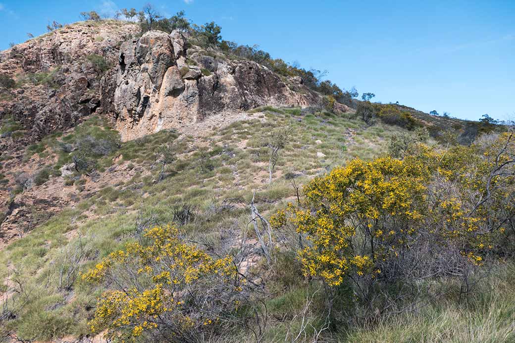 View to Mount Zamia