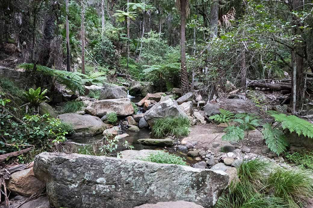 Path to Moss Garden