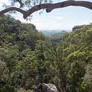 View of Fred's Gorge