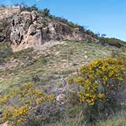 View to Mount Zamia