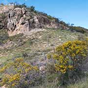 View to Mount Zamia