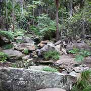 Path to Moss Garden