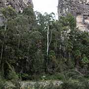 Scenery, Carnarvon Gorge