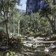 River in Carnarvon Gorge