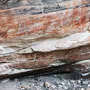 Aboriginal paintings, Cathedral Cave