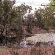 Waterhole, Maramarrina