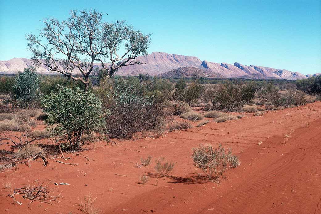 Between Papunya and Mount Liebig