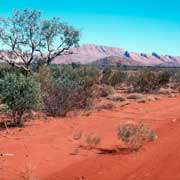 Between Papunya and Mount Liebig