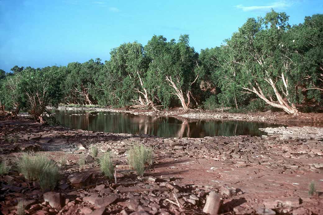 At  the Victoria River