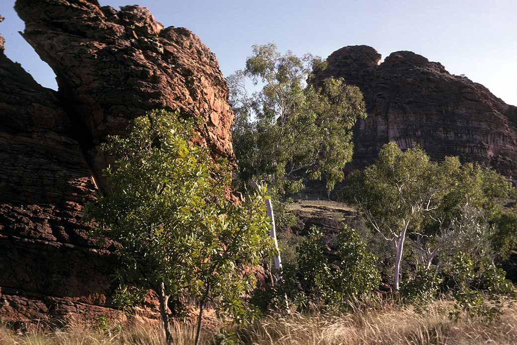 Gurrandalng Walk