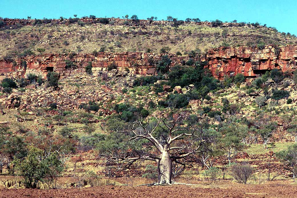 Along Victoria Highway