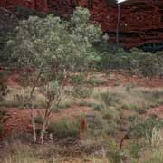 Rock face waterfall