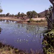 Cockatoo Lagoon