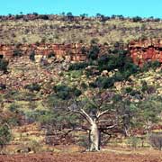 Along Victoria Highway