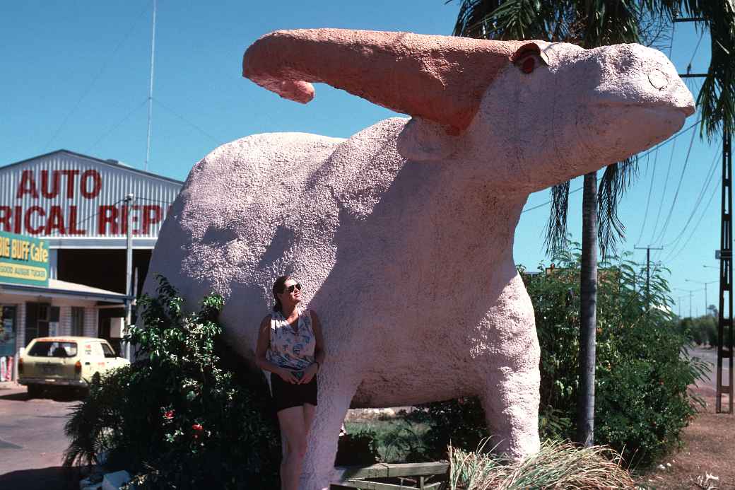 Pink Buffalo, Darwin