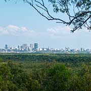 View of Darwin