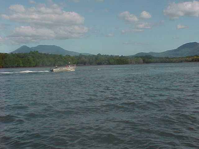 Djarragun