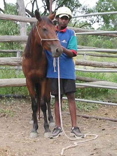 Djarragun
