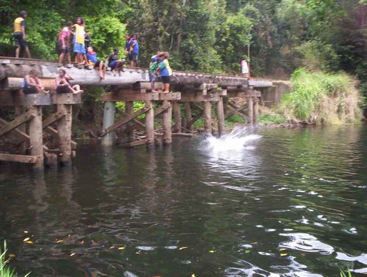 Djarragun