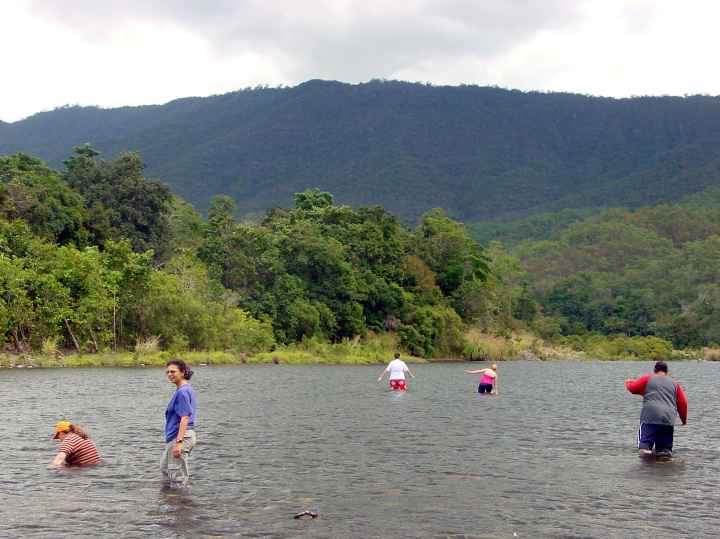 Djarragun