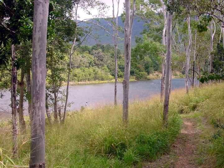 Djarragun