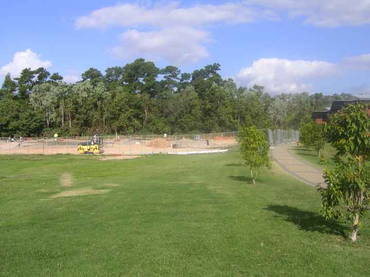Djarragun