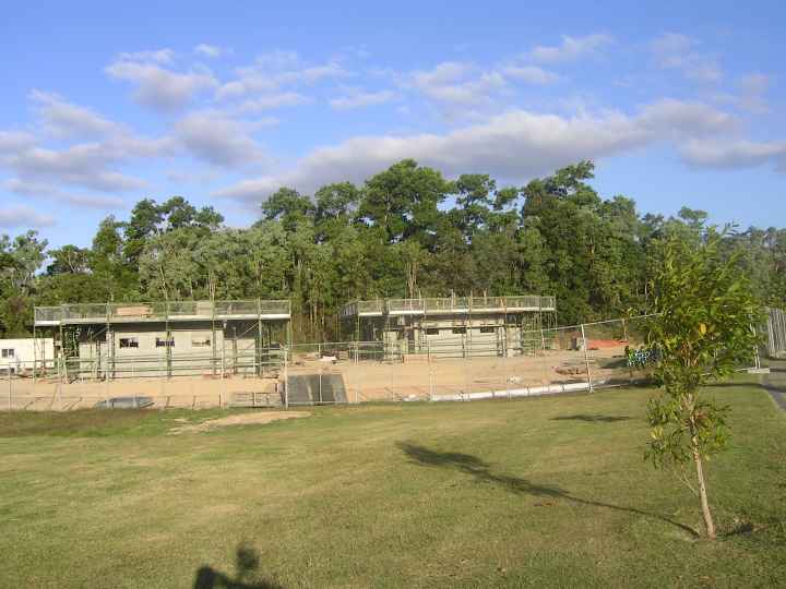 Djarragun