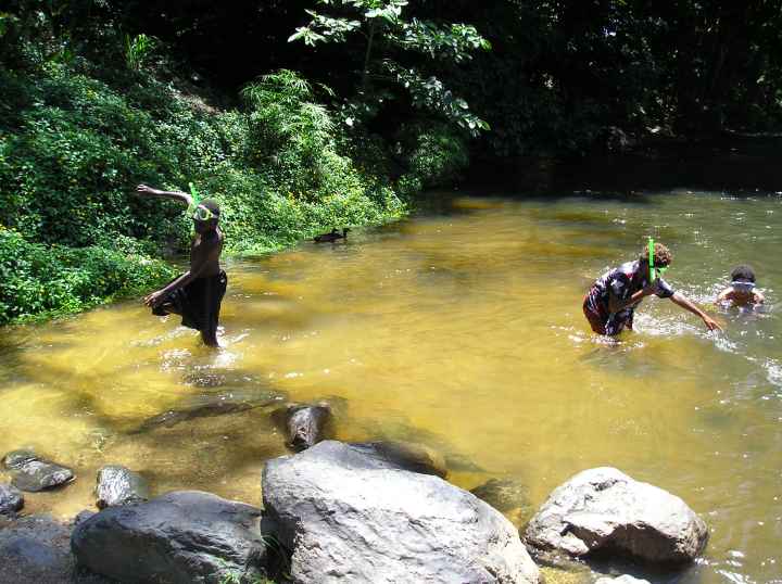 Djarragun