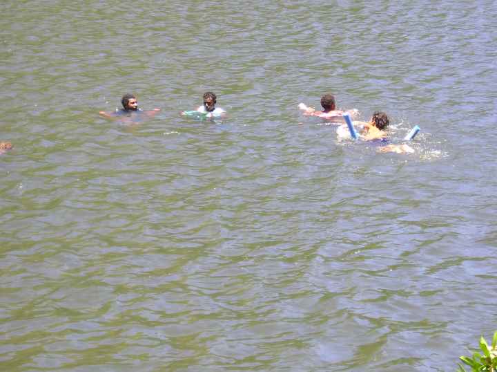 Djarragun