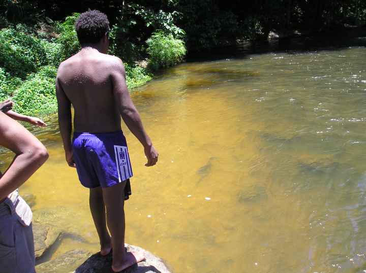 Djarragun