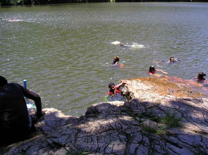 Djarragun