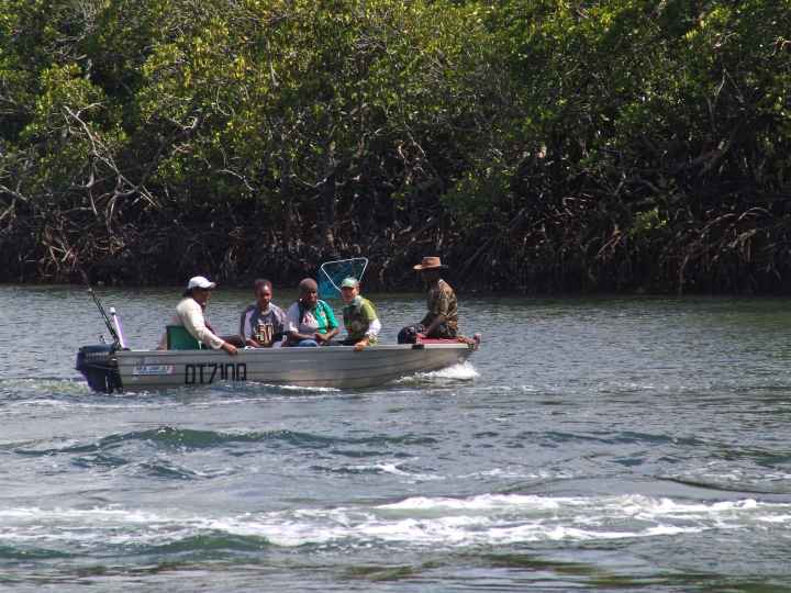Djarragun