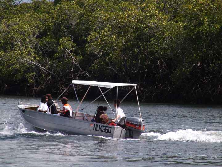 Djarragun
